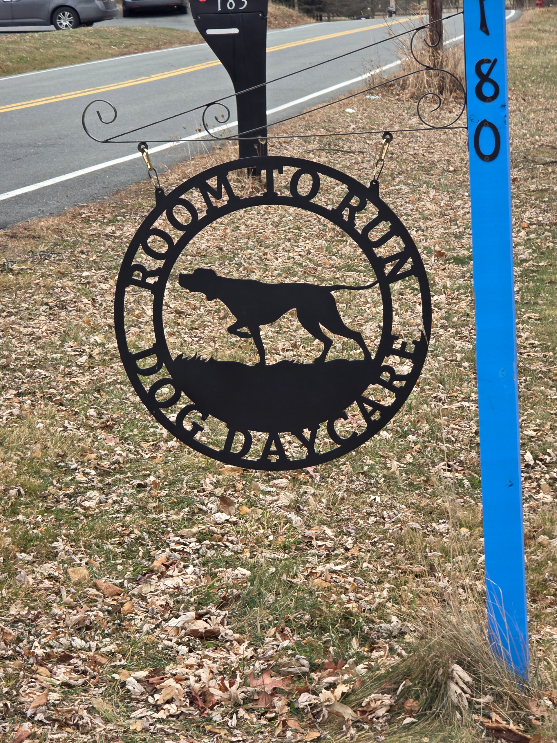 Room too Run Doggie Daycare